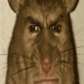 dont look at me like that